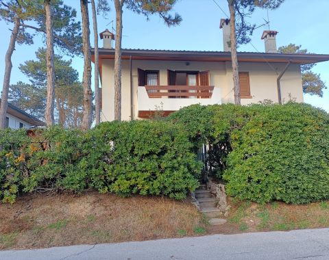 VILLA PINEA