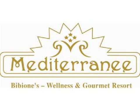 Hotel Mediterranee