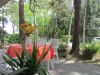 VILLA SERENA