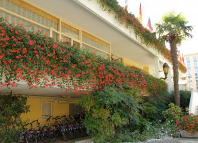 Hotel Principe Via Ariete, 41  Bibione Spiaggia
