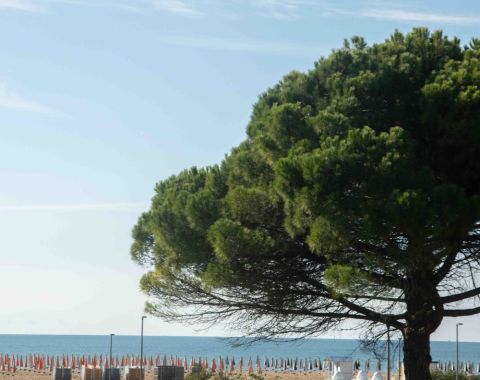 Residence Bibione
