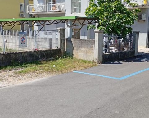 Ai Pini