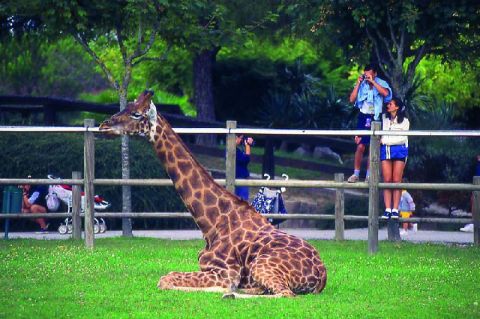 Parco Zoo Punta Verde