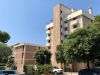 Bibione BRISTOL 1