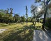 Park